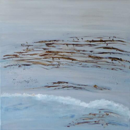 Pazifischer Kelp